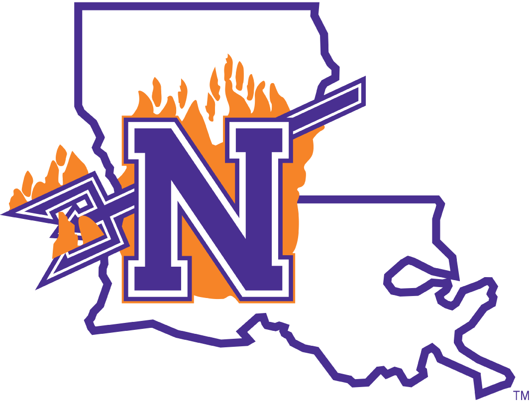 Northwestern State Demons 2008-2013 Primary Logo iron on transfers for T-shirts